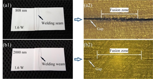 圖片:0.808μm和2μm激光焊接白色PP結果:(a1,b1)實物圖;(a2,b2)截面切片顯微圖 圖片:0.808μm和2μm激光焊接白色PP結果:(a1,b1)實物圖;(a2,b2)截面切片顯微圖